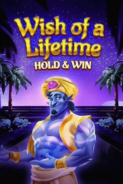Slot machine Wish of a Lifetime: Hold & Win su Betwest Casino